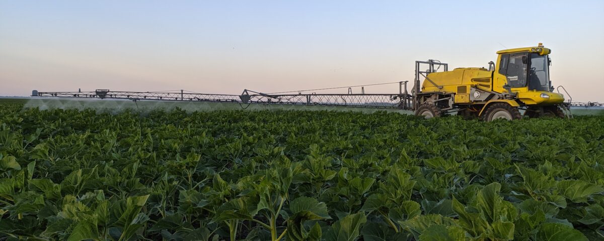alternativa de inversión agropecuaria