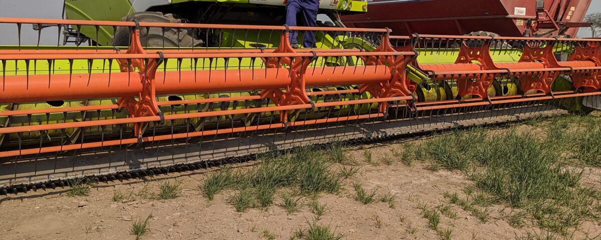 Ventajas del arrendamiento de campos y de la contratación de servicios rurales