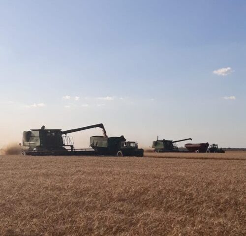 Haga su campo más productivo con el Grupo Río Negro